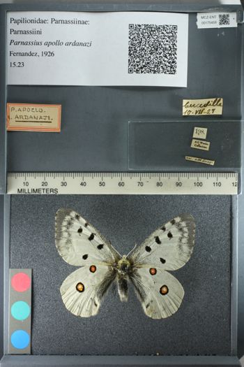 Media type: image;   Entomology 175459